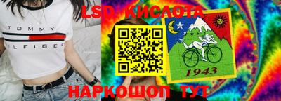 шишки Будённовск