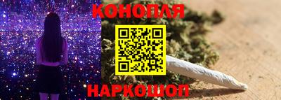 шишки Будённовск
