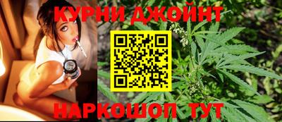 шишки Будённовск