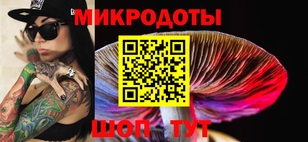 Галлюциногенные грибы Cubensis Рузаевка